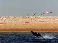 09 - Swakopmund